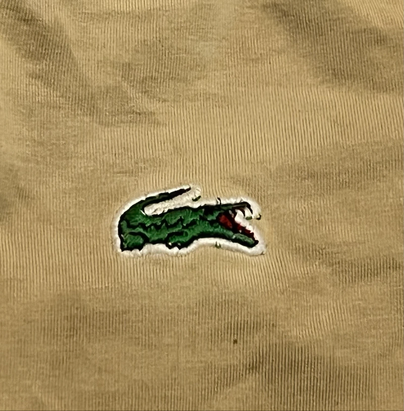 Camiseta con bordados Lacoste – photo 11